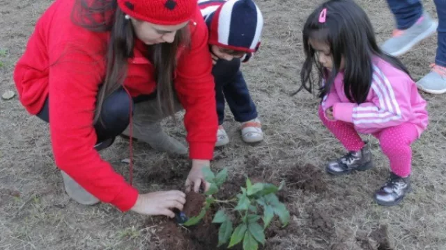 Frigorífico Guaraní plantó lapachos por el día del medio ambiente y del árbol