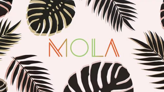 Montevideo será la capital de la moda sustentable