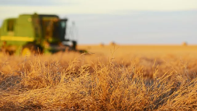 La canadiense Agrisoma Biosciences triplica sus operaciones en UY en 2017