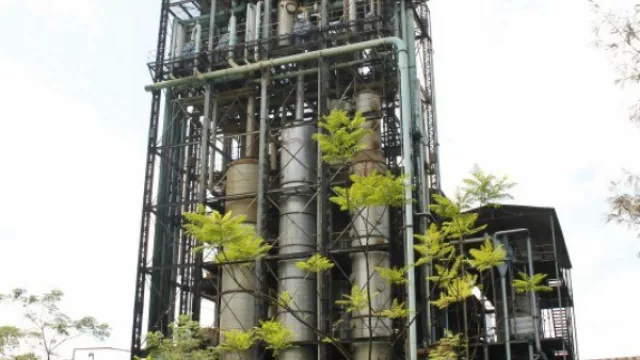 Petropar invertirá 15 millones de dólares para producir alcohol en Troche