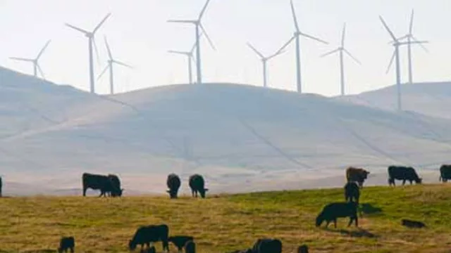 Uruguay empezó con la exportación de energía eléctrica a Brasil