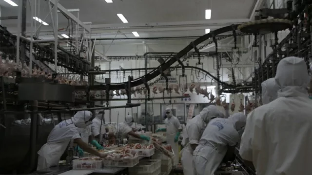 Pollpar invertirá cerca de USD 16 millones en dos nuevas plantas industriales