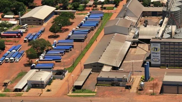 Hildebrand, una marca 100% paraguaya que se posiciona en el exterior