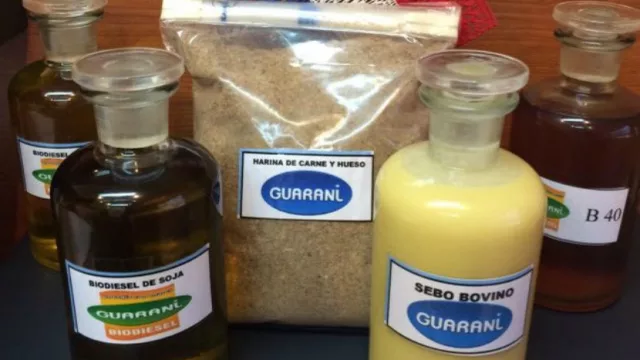 Frigorífico Guaraní consiguió el visto bueno para exportar sebo bovino a Europa