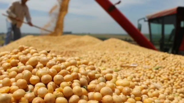 El 2017 será un año récord en producción de soja (+ de 10 millones de toneladas)