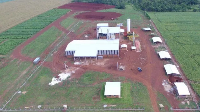 Planta producirá 60 toneladas de almidón por día