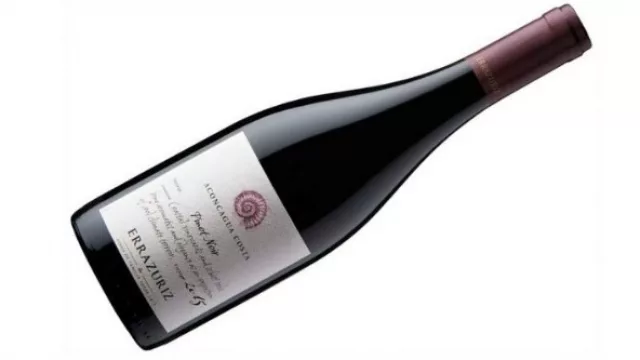 Damos la bienvenida a Errazuriz Aconcagua Costa Pinot 