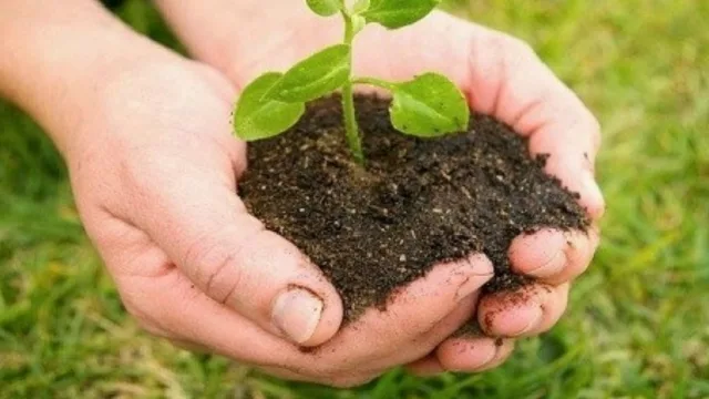 ¿Si desarrollamos una estrategia de abastecimiento rentable, sostenible y transformadora?