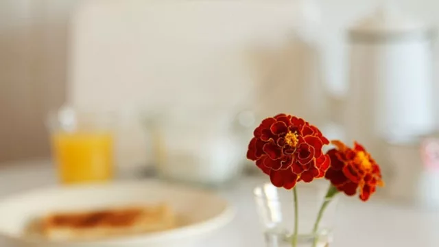 ¿A un día y no tienes nada? Acá te dejamos con unas opciones rápidas