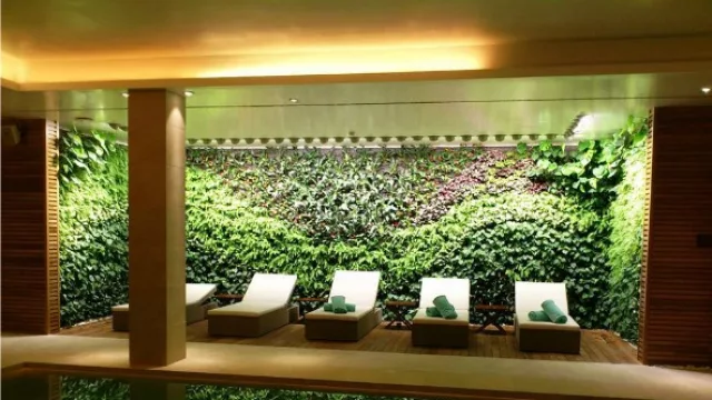 El auge de los jardines verticales