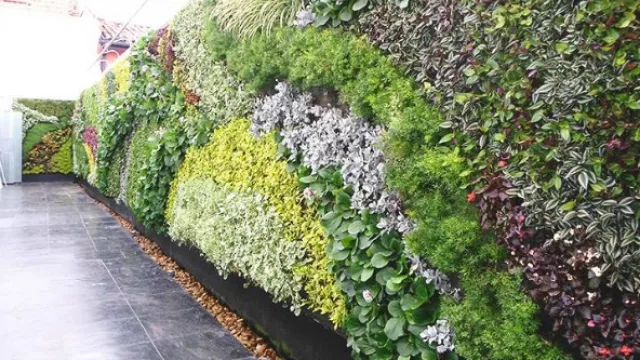 Además de ser hermosos, cuidan el medio ambiente.