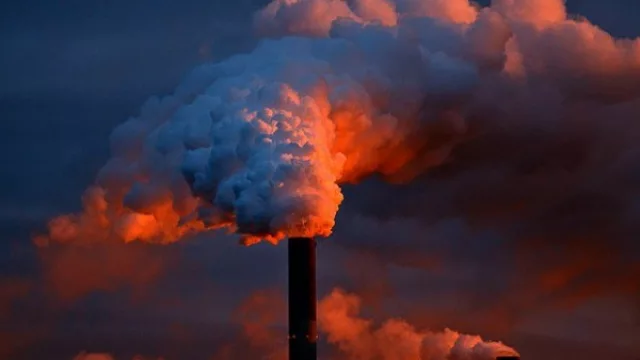 Una herramienta para medir la huella de carbono en la ganadería