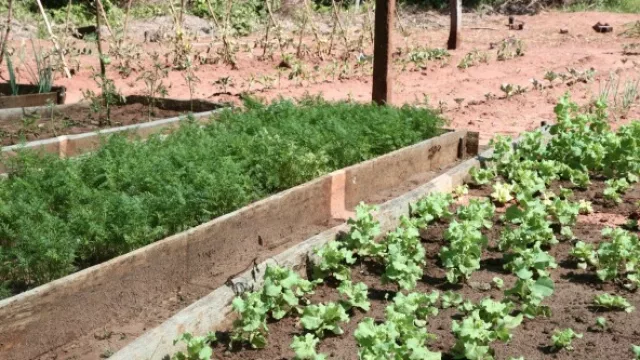 El proyecto va a beneficiar a alrededor de 200 productores de la zona.