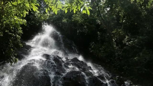 Transmitir conciencia sobre la importancia del cuidado del agua es uno de los objetivos del proyecto de Fundación Avina, Moisés Bertoni y Coca-Cola.