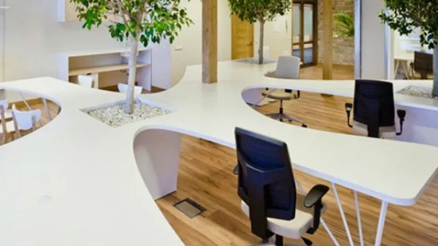 7 ideas para hacer nuestra oficina más sustentable