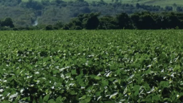 Sustenagro, cumple un año de logros