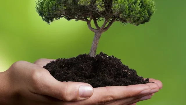 Estrategia de sustentabilidad en 5 pasos