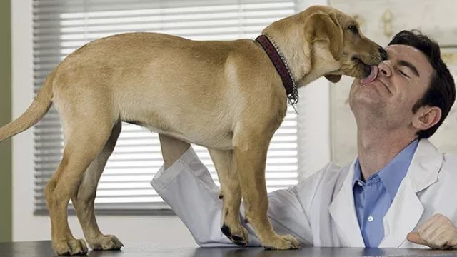 Un negocio único en el mundo fue gestado por la “máquina” uruguaya de crear empresas