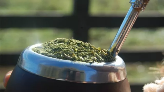 Encuesta revela que un 74% de los argentinos toma mate con un acompañamiento
