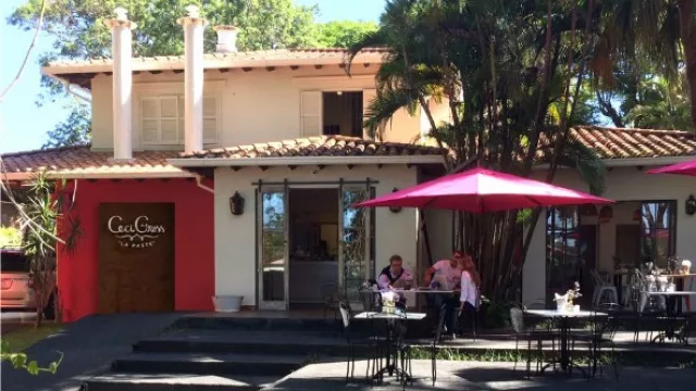 ¡La Paste 2 te va a encantar!