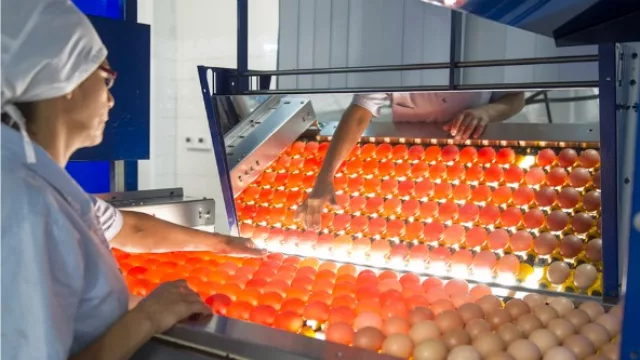 Nutrihuevos utiliza aparatos de alta tecnología.