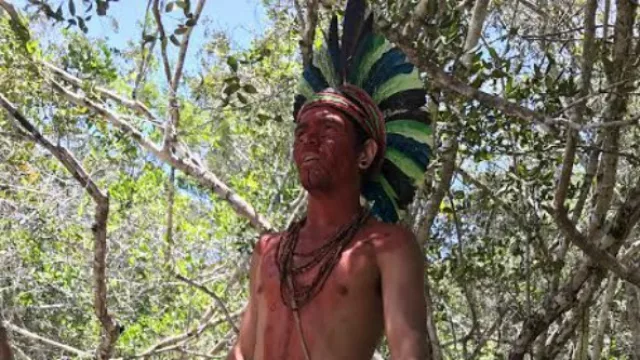 Porto Seguro espera cerrar el año con 40.000 argentinos