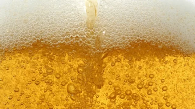 Comencemos a hablar de tu cerveza habitual