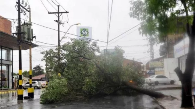 Y la tormenta a vos...