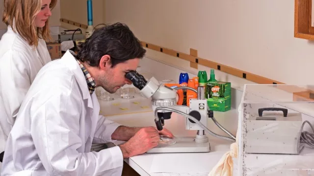 Johnson donará más de un millón de Off y Autan a familias de Paraguay