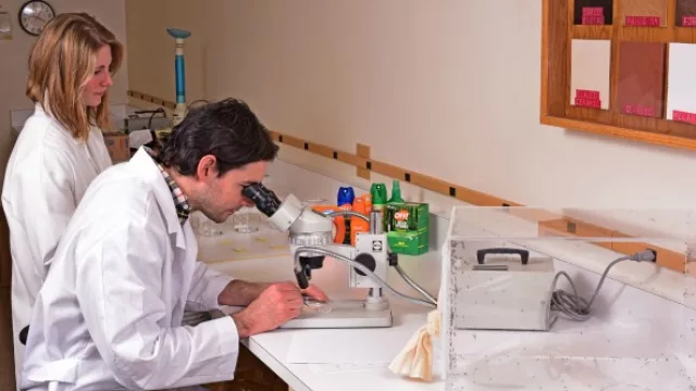 Johnson donó siete millones de dólares en repelentes para América Latina.