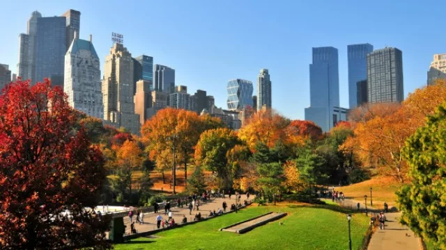La naturaleza del Central Park.