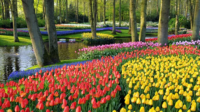 Es un verdadero paraíso para los amantes de las flores.