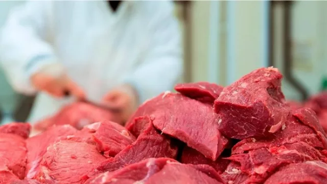 Faena Brangus aumentó 40% en lo que va del 2016