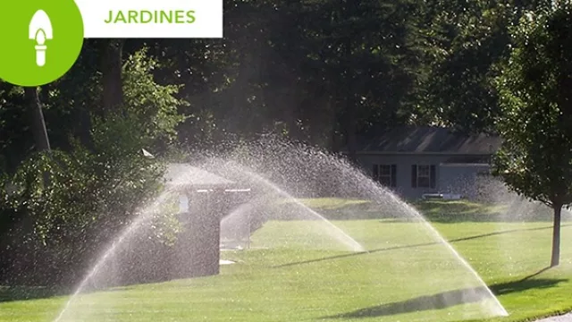 PANACO, sistemas de riego de primer nivel 