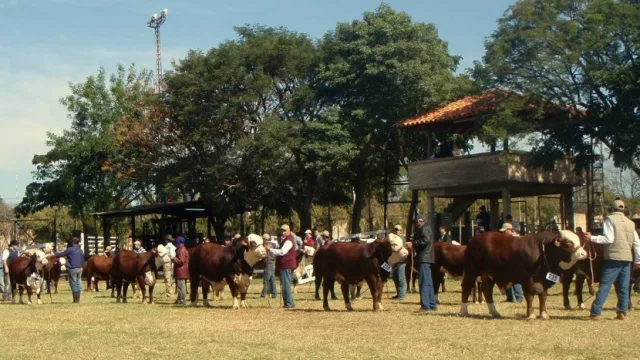 ¡Se viene con todo! A días de la Expo Misiones 2016