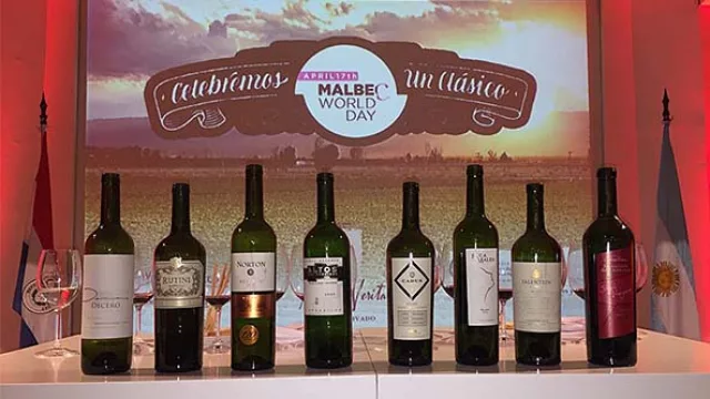 Descubriendo nuestro potencial Vitivinícola