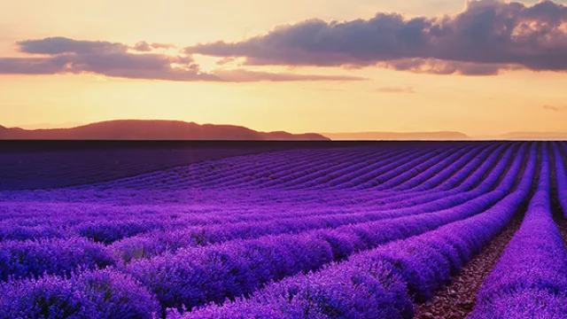 La Provenza es el sinónimo de encanto.