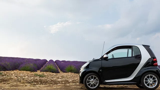 Te recomendamos hacer el paseo en auto. Es una aventura única.