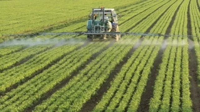 Tafirel contra el enlentecimiento económico del país, intenta fumigar