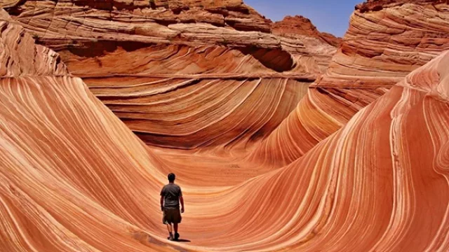 Las visitas están limitadas a solo 20 personas al día.