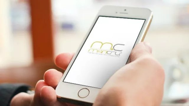 El repuesto de celular más comprado es...