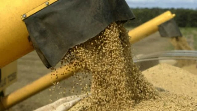 La Industria Aceitera advierte amenazas y pide acciones concretas al presidente