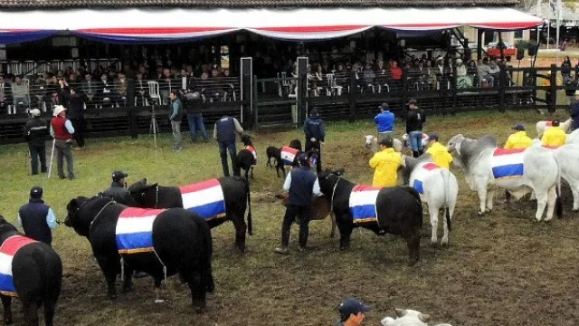 Volumen de los negocios en la Expo Norte serían por US$ 8 millones (Más de 250 expositores de la zona)