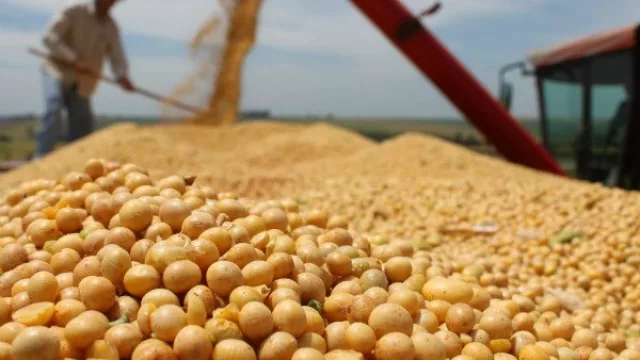 CAPPRO celebra su décimo aniversario, buscando optimizar recursos y potenciar la producción nacional