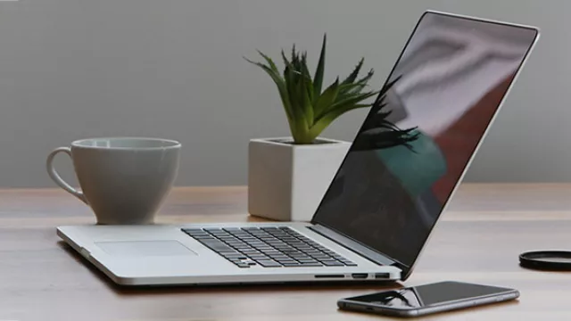 Tips para elegir las plantas para la oficina