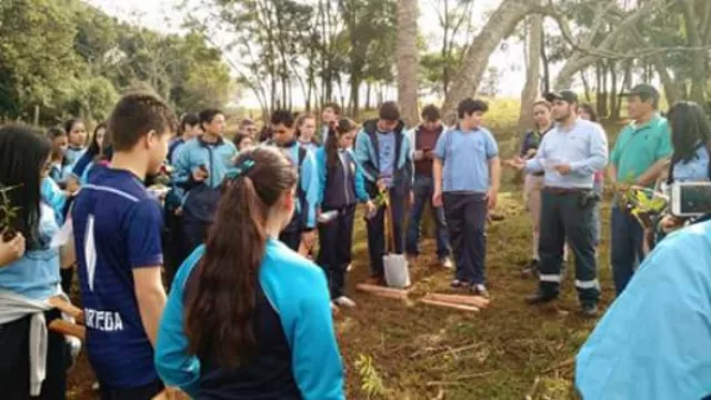 Plantan 5.000 mudas de especies nativas en Minga Guazú