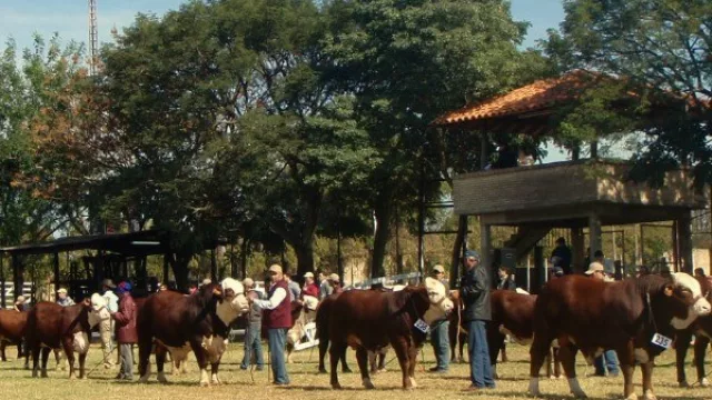 ¡Viene para quedarse! La tradicional Expo Misiones regresa luego de 20 años
