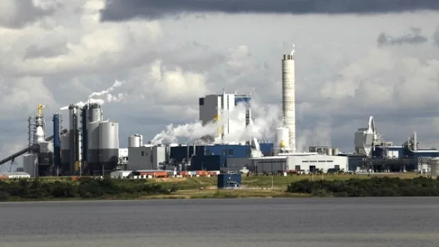 Uruguay podría invertir en la papelera más grande de UPM