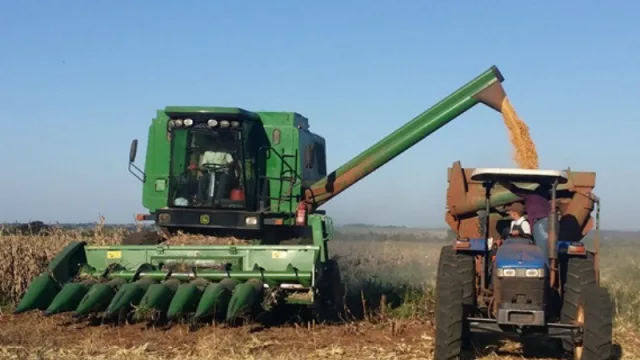 Tan sólo la producción local de granos genera ingresos por más de US$ 5 MM anuales