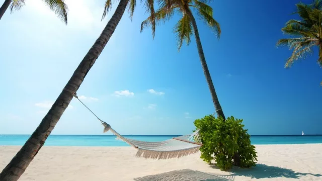 Dos ciudades, cinco destinos: LATAM Airlines lanzó tarifas promocionales para julio